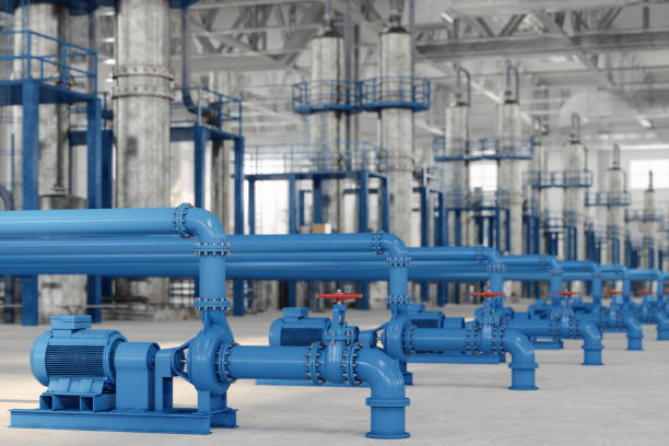 Best Plumbing Inspection Services  in Bay Springs, MS
